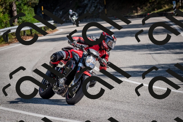 202509071034-DSC_2237_c2