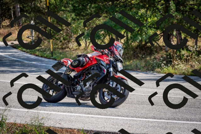 202509071034-DSC_2238_c2