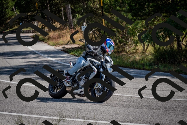 202509071034-DSC_2240_c2