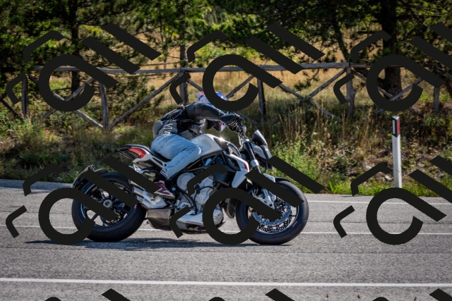 202509071034-DSC_2241_c2