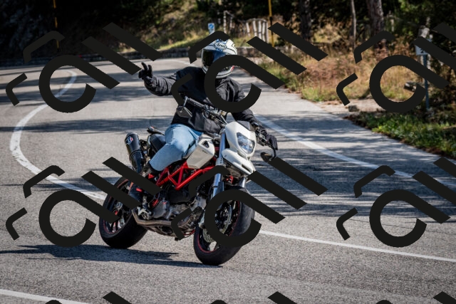 202509071034-DSC_2248_c2