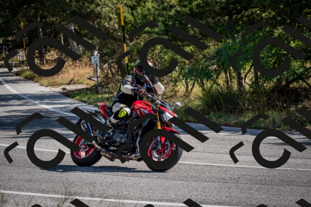 202509071034-DSC_2254_c2