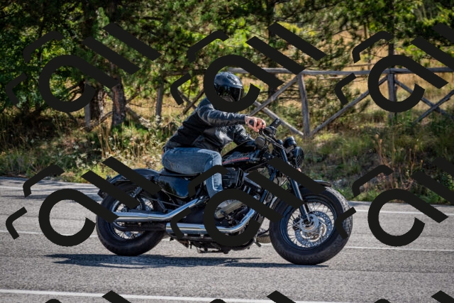 202509071035-DSC_2256_c2