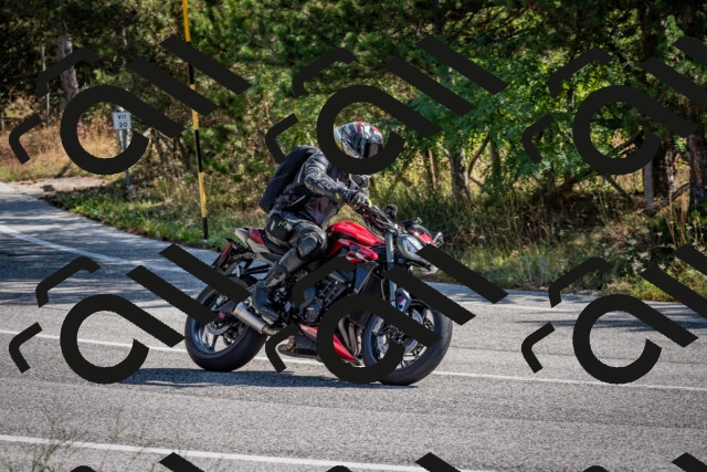 202509071035-DSC_2258_c2