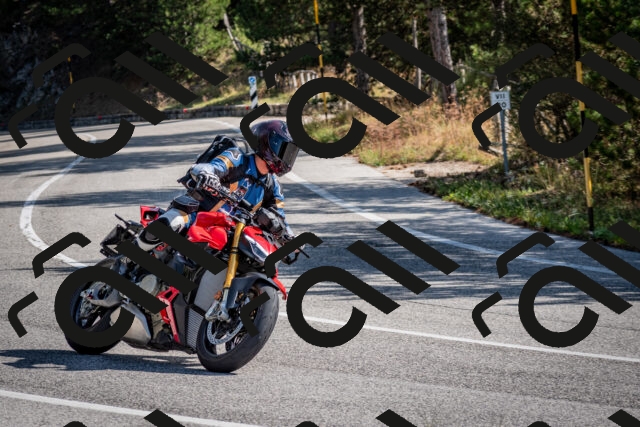 202509071035-DSC_2259_c2