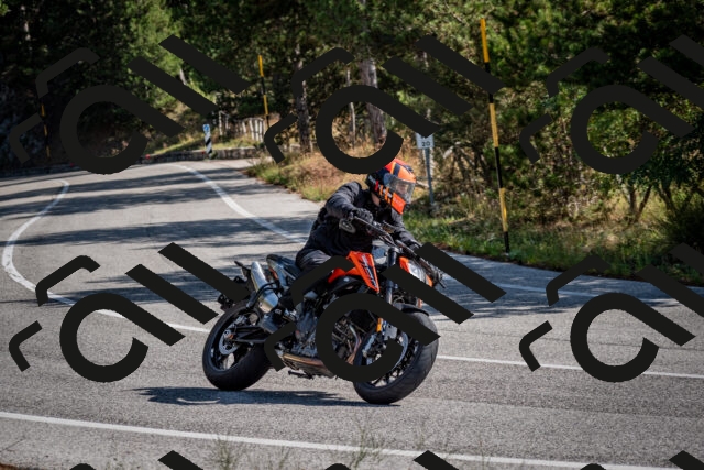 202509071035-DSC_2261_c2