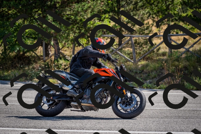 202509071035-DSC_2262_c2