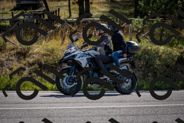 202509071035-DSC_2263_c2