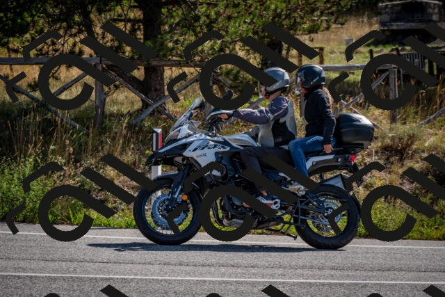 202509071035-DSC_2264_c2