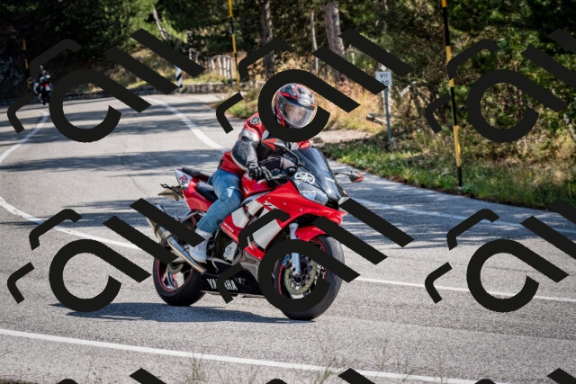 202509071035-DSC_2266_c2