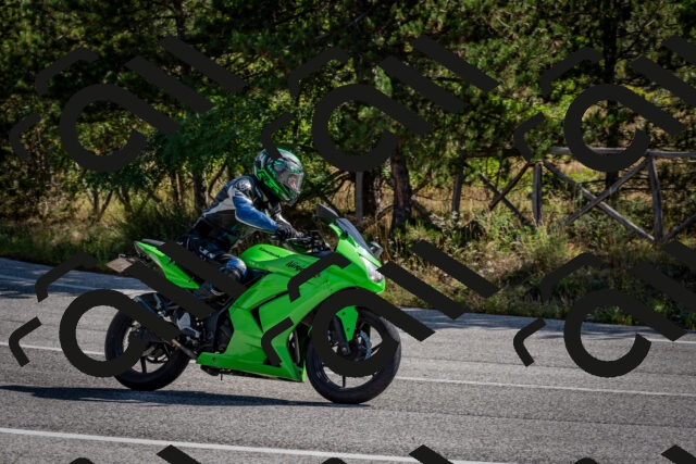 202509071035-DSC_2268_c2