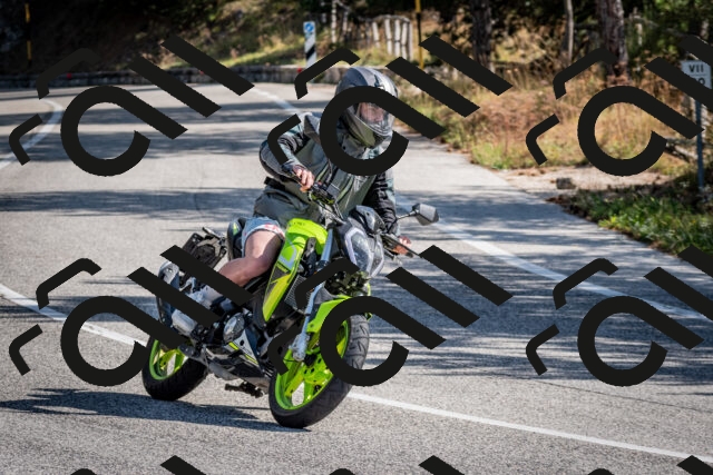 202509071035-DSC_2269_c2