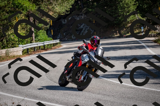 202509071035-DSC_2279_c2