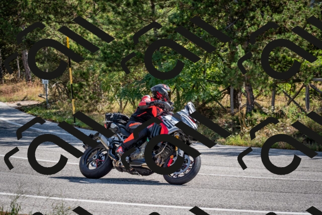 202509071035-DSC_2280_c2