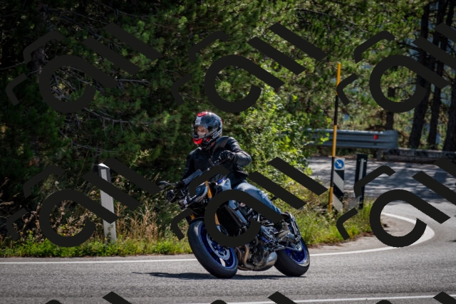 202509071036-DSC_2281_c2