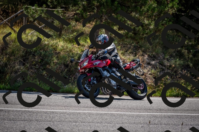 202509071036-DSC_2284_c2