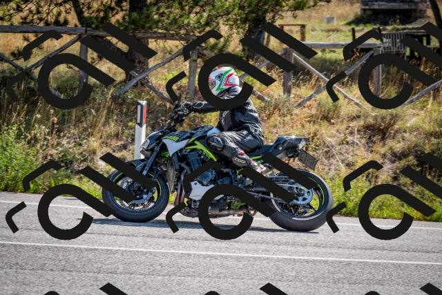 202509071036-DSC_2286_c2