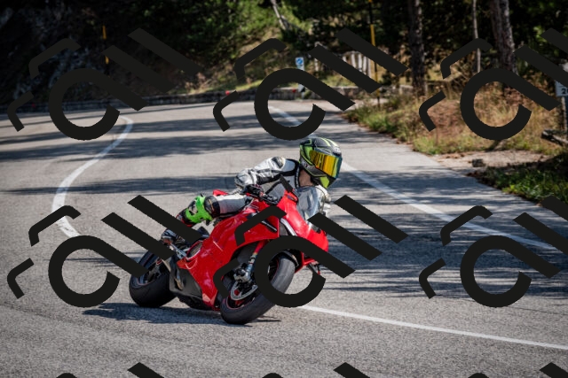 202509071036-DSC_2288_c2