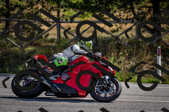 202509071036-DSC_2290_c2