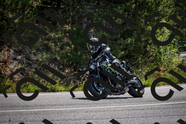 202509071036-DSC_2291_c2