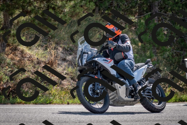 202509071036-DSC_2295_c2