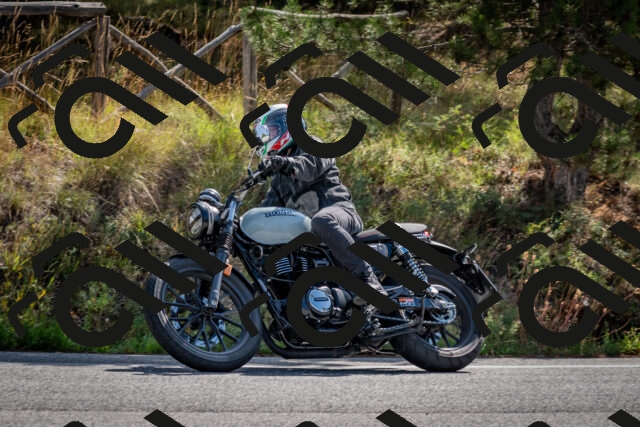 202509071036-DSC_2297_c2