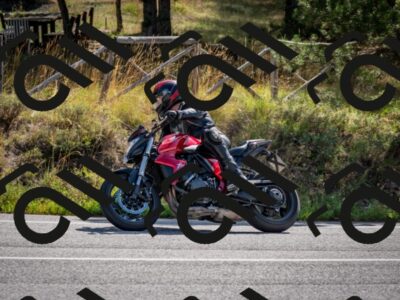 202509071036-DSC_2298_c2