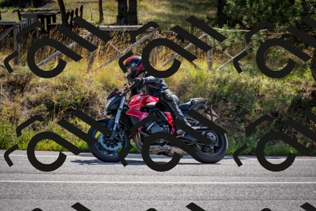 202509071036-DSC_2298_c2