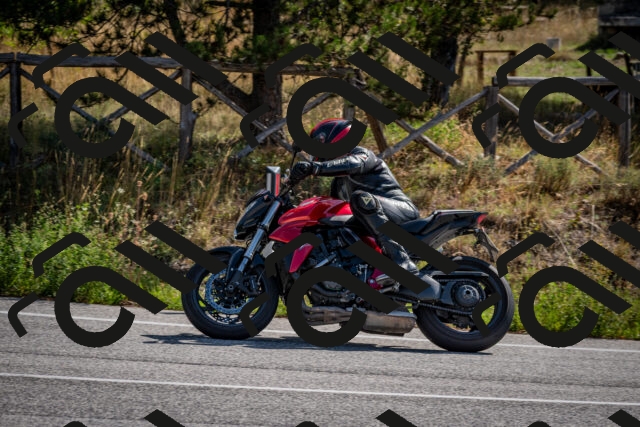 202509071036-DSC_2299_c2