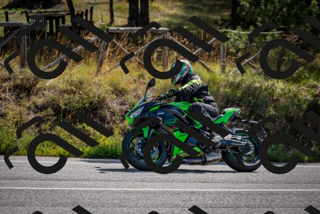 202509071036-DSC_2301_c2