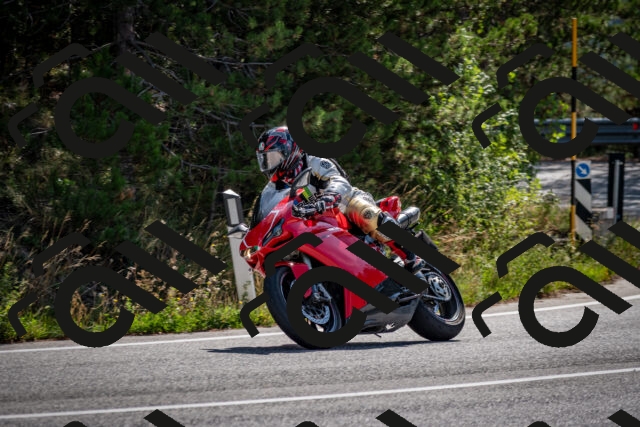 202509071036-DSC_2302_c2