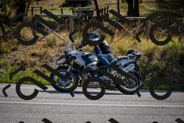 202509071036-DSC_2305_c2