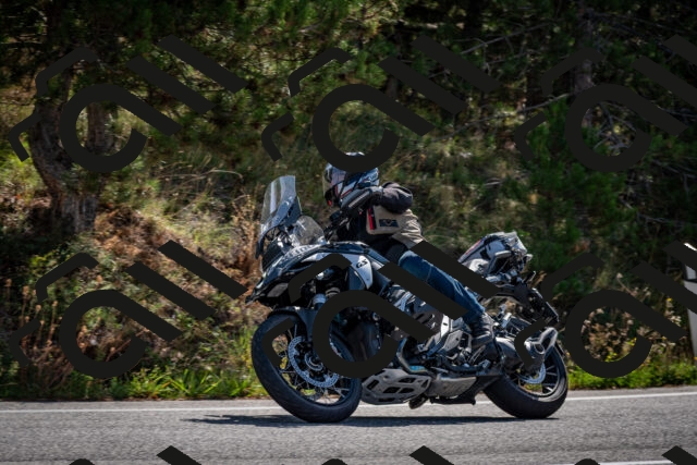 202509071037-DSC_2306_c2