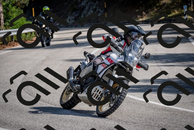 202509071037-DSC_2308_c2