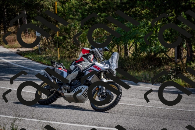 202509071037-DSC_2309_c2