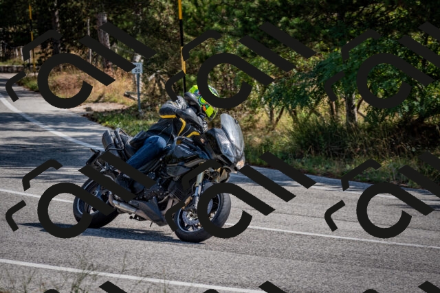 202509071037-DSC_2310_c2