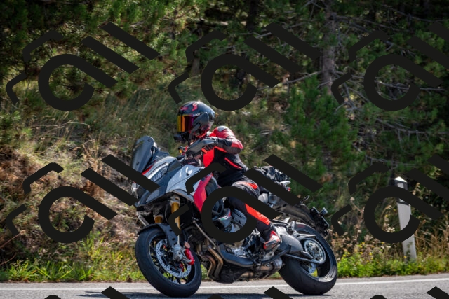 202509071037-DSC_2318_c2