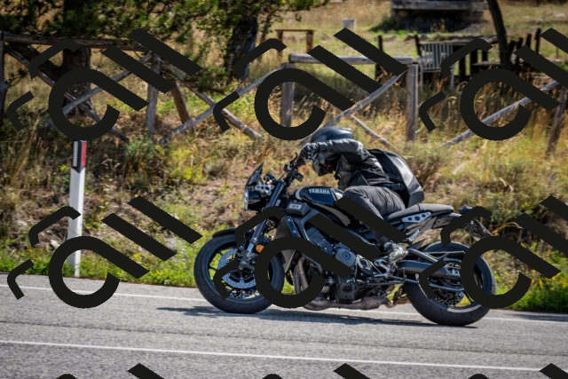 202509071038-DSC_2321_c2