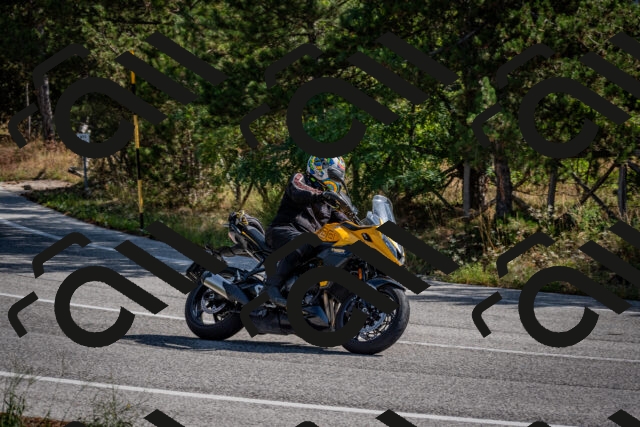 202509071038-DSC_2323_c2