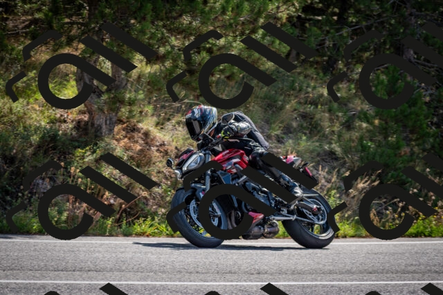 202509071038-DSC_2327_c2