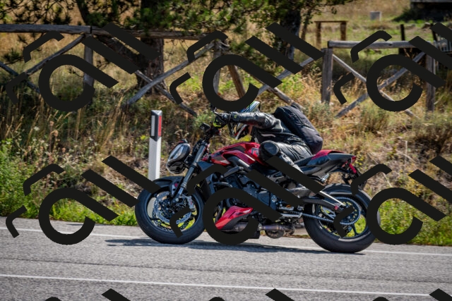 202509071038-DSC_2328_c2