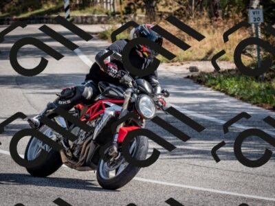 202509071046-DSC_2358_c2