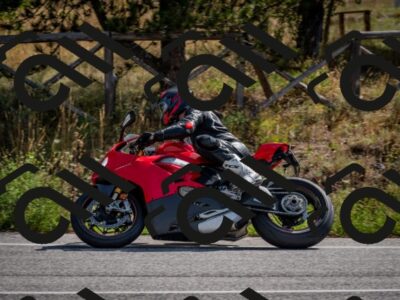 202509071047-DSC_2375_c2