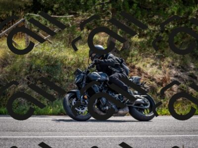 202509071048-DSC_2378_c2