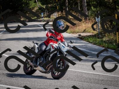 202509071049-DSC_2390_c2