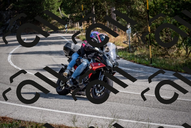 202509071049-DSC_2412_c2