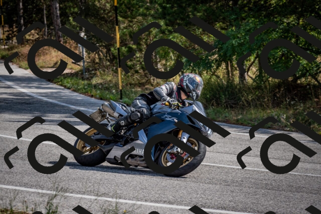 202509071050-DSC_2421_c2