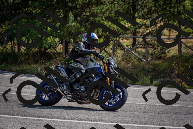 202509071050-DSC_2427_c2