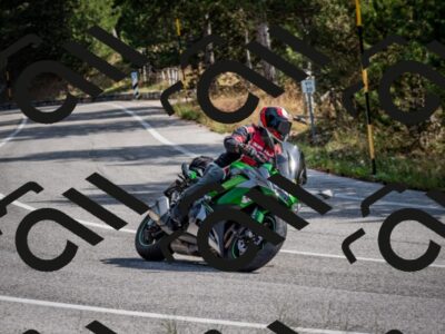 202509071050-DSC_2428_c2