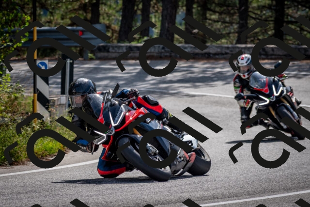 202509071050-DSC_2432_c2